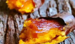 地瓜视频,带你领略田园风光，感受生活美好